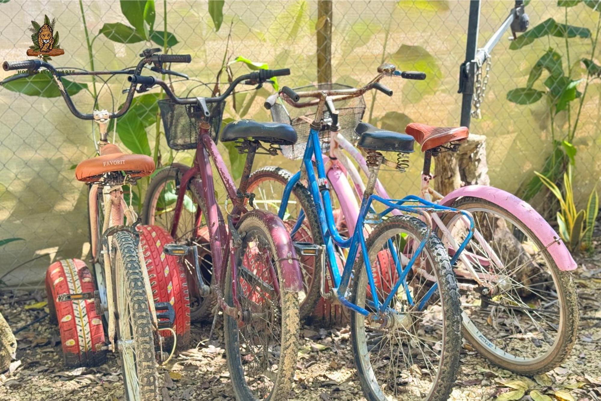 Hotel Selva Bacalar - Free Bike Rental Kültér fotó