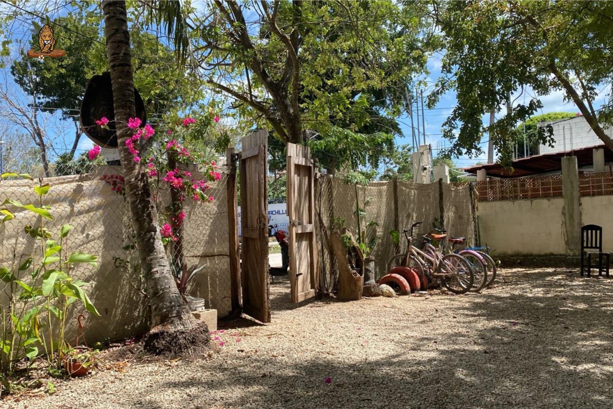 Hotel Selva Bacalar - Free Bike Rental Kültér fotó